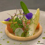 カーサ・デル・チーボ - 桜鱒のマリナータとペースト