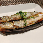 米菜°sakura 織音寿し - 