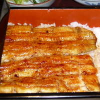 五代目 野田岩 麻布飯倉本店 - 