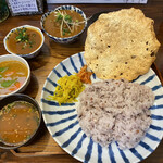 月と亀 - 鰯のつみれカレー定食にポークビンダルー小鉢