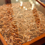 プレゼンテ スギ - 