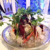 カーザ ヴィニタリア - 