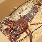 山金商店 - 料理写真: