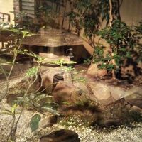 吉寅 - 