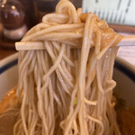 はなさき家 - 麺