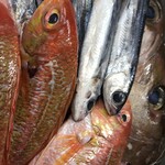 Yakushima De Minshuku Yatteimashita - 屋久島地魚