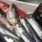 Yakushima De Minshuku Yatteimashita - 屋久島地魚