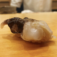 きざ㐂 - トリガイ