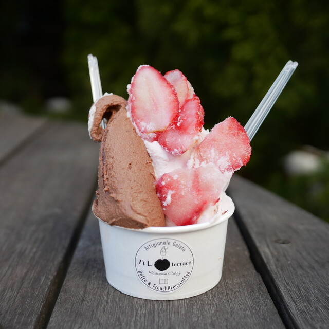 ハレterrace 山梨 リゾナーレ八ヶ岳ピーマン通り店