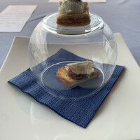 International cuisine subzero - 