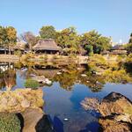 はやしのいきなり団子 - 水前寺成趣園