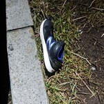 Sushiro - 駐車で見つけた子供用のニューバランスの靴！？ 無事にお家に帰れたのでしょうか？