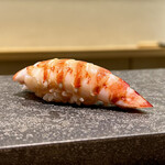 鮨 なんば - 車海老