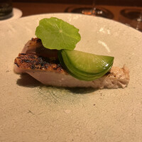 アカ - 天然ぶりのアドボ