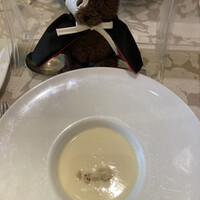 アマルフィイ・モデルナ - 