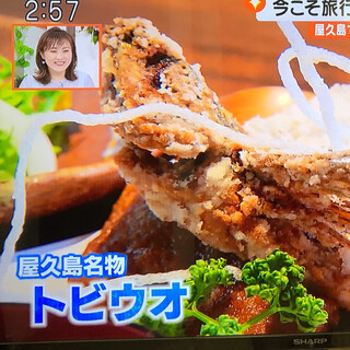 「屋久島で民宿やっていました」
