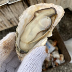 海の駅しおじ - 養殖牡蠣