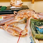 うを徳 - 鳥取県産　松葉蟹　1.6㎏