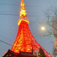 タワシタ - 