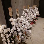 くろ﨑 - 胡蝶蘭①