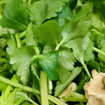 比良山荘 - ・クレソン