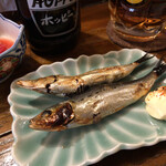 純酒場オオモリ - 