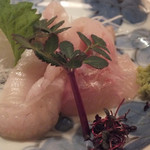 ととや - 「平目の刺身」：しゃきっとした歯応えと甘み！
      そして、何といっても縁側の
      コリっとした後の、脂の旨さは格別～♪
      