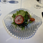 PRIMO - サラダ　美しい！