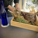 プレゼンテ スギ - 