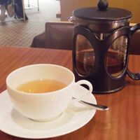 フィオレンティーナ - 