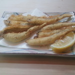 【NEW】ワカサギ