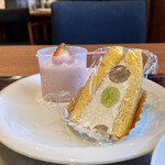 GATEAU Marie - 