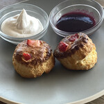 cafe&dining blue terminal - 