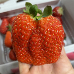 姫路ハートフル観光農園 - 