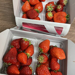 姫路ハートフル観光農園 - 