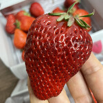 姫路ハートフル観光農園 - 