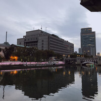 スミレオオサカ - 