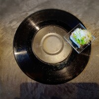 RESTAURANT SALT - 