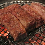 虎の穴 - 【2012.12.26】ハラミスジ