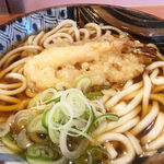 Udon Soba Imashou - 18cmほどの丼に入って提供。お馴染みのツユにうどん、エビ天、ネギのラインナップ。