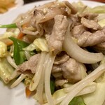 三龍亭 - 肉野菜炒め 接写。