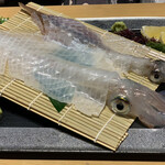 河太郎 博多駅店 - 