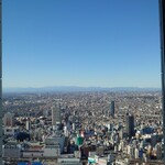 オーシャン カシータ - 