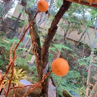 イノベーティブ フレンチ ワタハン - 