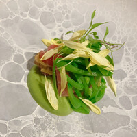 イノベーティブ フレンチ ワタハン - 