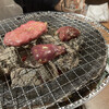 炭火ホルモン焼肉 ひゃくてん 溝の口
