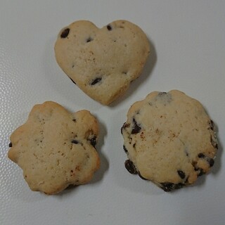 リトルリーフ_1