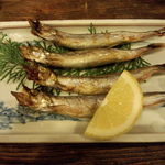 多可能 - ししゃも