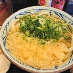 丸亀製麺 - 2022年3月　かけうどん
