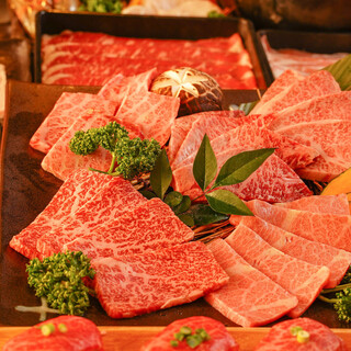 Shimbashi sumibiyaki kurogewagyu saidaihyakunijuukyushu tabehoudai yakiniku tenryuu - 